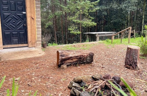 Zacatlan Cabin | Pet-Friendly Retreat at Cabaña Valle de Piedras Encimadas