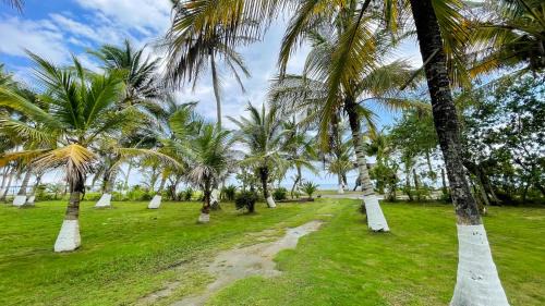 Monitos House | Pet-Friendly Retreat at Cabaña Villa Palmaral