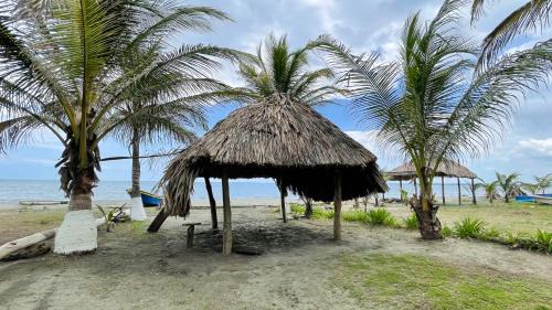 Monitos House | Pet-Friendly Retreat at Cabaña Villa Palmaral