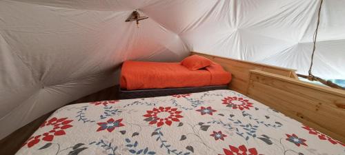 Coyhaique House | Experience Cabaña y Domos El Pescador Coyhaique - 4 Stars
