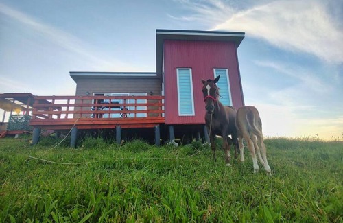 Ancud House | Inviting Cabaña y Tinaja Rosaura Mistika for Family Getaways