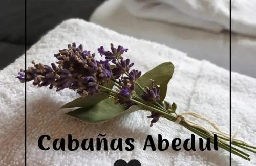 Meliquina Ski Chalet | Family-Friendly Cabañas Abedul: Pet Welcoming Retreat