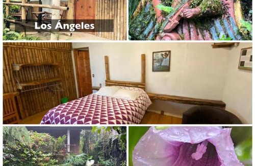 Cuetzalan del Progreso Hotel | Pet-Friendly Cabañas Aldea San Francisco de Asís Awaits