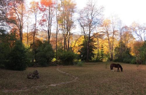 Pinto Cabin | Ideal Family Retreat at Cabañas Aliwen with Oceanfront Bliss