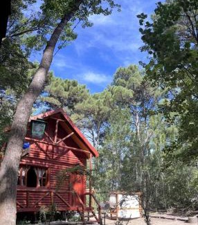 Aguas Verdes House | Discover Cabañas Alquimia: Your Ideal Pet-Friendly Getaway