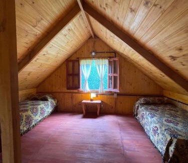 Aguas Verdes House | Discover Cabañas Alquimia: Your Ideal Pet-Friendly Getaway