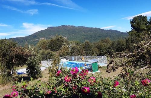 Caburgua House | Top-Rated Cabañas Alto Caburgua with Pool & Kitchen
