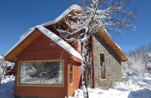 Pinto Cabin | Pet-Friendly Cabañas Alto Cordillera with Ocean Views
