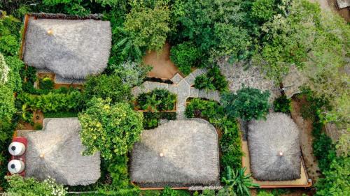 Mazunte Bed & Breakfast | Discover Cabañas Amaia: Guest Rated 10/10 with Pool Access