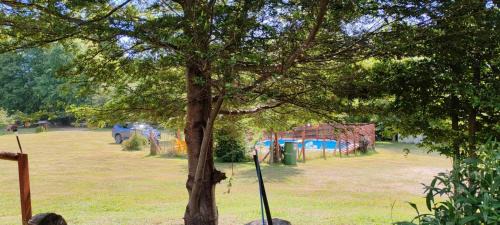 Panguipulli House | Delightful Cabañas Antu-Mapu: Pet-Friendly & Ocean Views