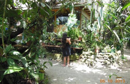 Mindo Cabin | Oceanfront Cabañas Armonía with Orchid Gardens and High Ratings