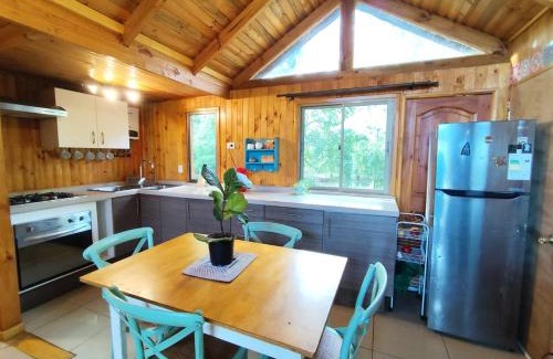 Pucon Ski Chalet | Scenic Cabañas Ayalén Overlooking the Lake with Amenities