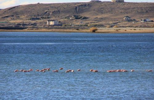 Macrozona Bahia Redonda y Primeros Faldeos Cabin | Cabañas Bahía Marina