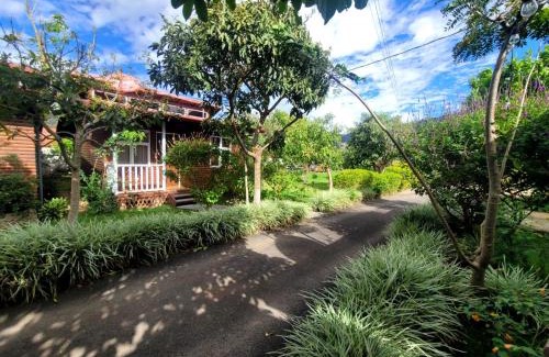 Santa Maria Apartment | Pet-Friendly Cabañas Barú Dota: Guest Rated 9.2/10