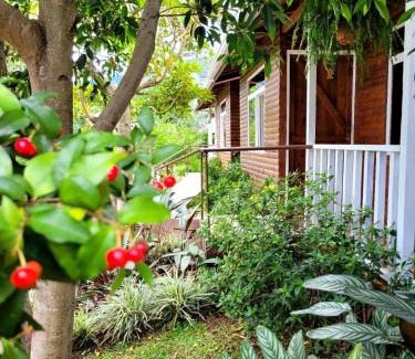 Santa Maria Apartment | Pet-Friendly Cabañas Barú Dota: Guest Rated 9.2/10
