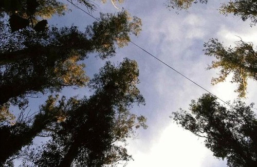 Bosque Peralta Ramos Cabin | Pet-Friendly Cabañas Bosk with Hot Tub & Breakfast Included