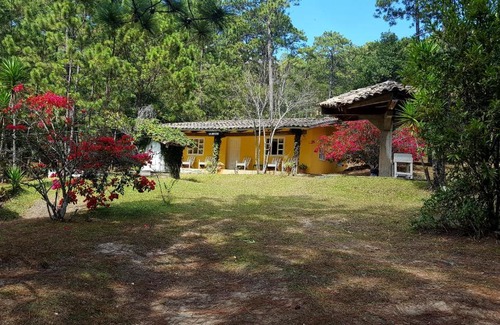 La Esperanza Hotel | Pet-Friendly Cabañas Bosque llano de la Virgen - 9/10 Rated