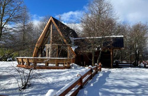Malalcahuello Ski Chalet | Discover Cabañas Bosque Nevado: Guest Rated 9.8, Pet Friendly