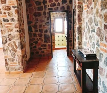 Calpulalpan Apartment | Cabañas Calpulalpan de paso