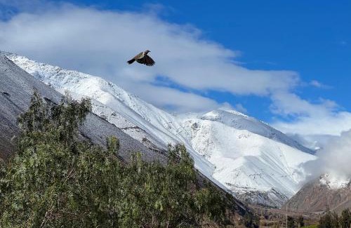 Pisco Elqui House | Oceanfront Cabañas Caballieri: Guest Rated 9.8/10