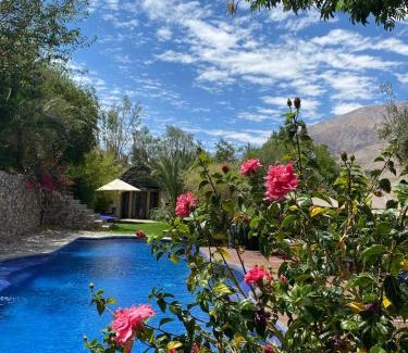 Pisco Elqui House | Oceanfront Cabañas Caballieri: Guest Rated 9.8/10