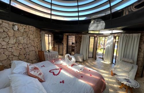 Pisco Elqui House | Oceanfront Cabañas Caballieri: Guest Rated 9.8/10