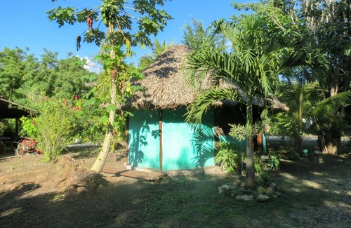Conhuas Cabin | Pet-Friendly Cabañas Calakmul with Breakfast Included