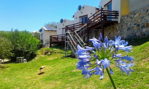 La Falda House | Pet-Friendly Cabañas Club del Lago with Oceanfront Views