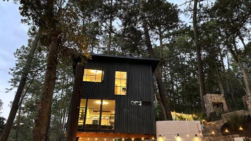 Tapalpa Ski Chalet | Cabañas Corazón del Bosque