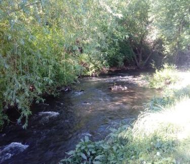 San Martin de los Andes Apartment | Relax at Cabañas del Arroyo - Family-Friendly Retreat