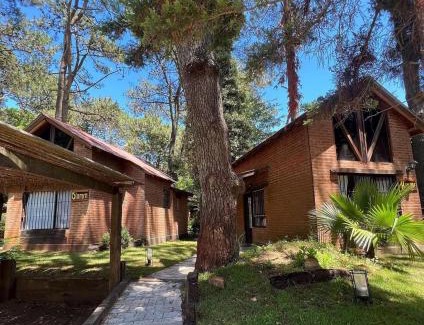 Costa del Este Apartment | Discover Cabañas Das Dorf: Family-Friendly Retreat with Pool