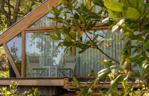 Marin Other | Unforgettable Cabañas de Xarás: 10/10 Pet-Friendly Retreat