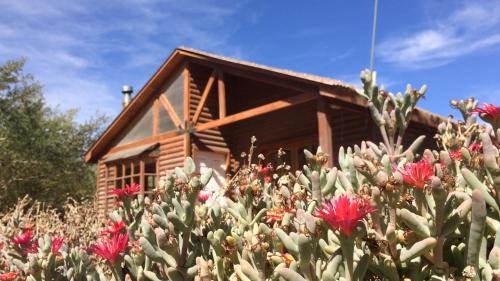San Pedro de Atacama Ski Chalet | Discover Cabañas Doña Juanita: Pet-Friendly Family Retreat