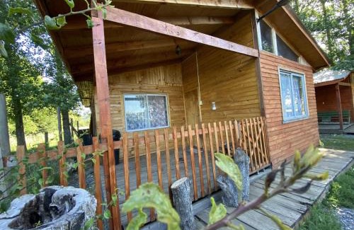 Curacautin Apartment | Eco-Friendly Cabañas EcoSur in Beautiful Chile