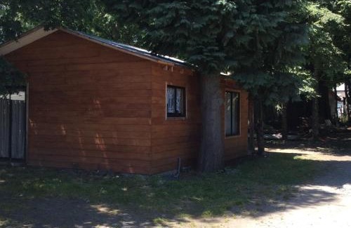 Neltume House | Family-Friendly Retreat at Cabañas El Portal - Rated 9/10