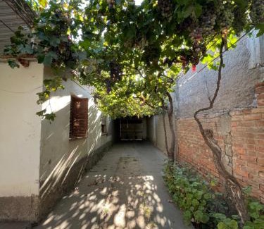 Cuadro Nacional Apartment | Pet-Friendly Cabañas El Rosal for Family Getaways