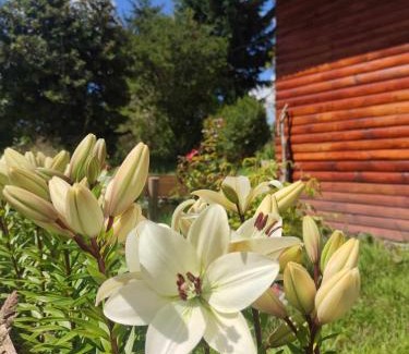 Puerto Montt Apartment | Convenient Cabañas El Trébol near the Airport, Rated 9/10
