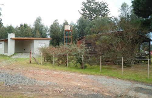 Tandil Cabin | Pet-Friendly Retreat at Cabañas El Viejo Sauce - 10/10 Rating