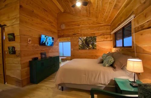Roble Apartment | Explore Cabañas Emerald Forest - 4-Star Pet-Friendly Retreat