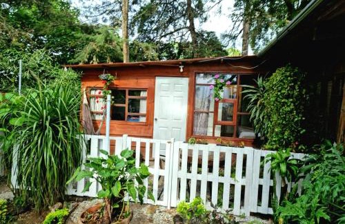 Zona 16 Apartment | Cozy Cabañas in Zona 16 - Family-Friendly & Breakfast Included