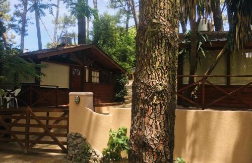 Villa Gesell Apartment | Pet-Friendly Cabañas Entre Pinos with Kitchen Amenities