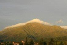 Capilla del Monte Cabin | Experience Cabañas Esferas de Cristal: Pet-Friendly Bliss