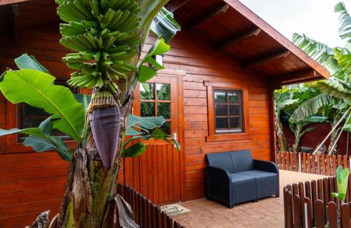 Arucas Ski Chalet | Pet-Friendly Cabañas Finca Las Vegas - Rated 9/10 by Guests