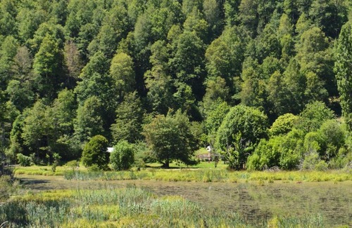 Pucon Ski Chalet | Kid-Friendly Cabañas Flor de Loto in Pucón with High Ratings