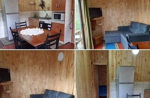 Choshuenco Cabin | Budget-Friendly Cabañas Genesis: Family and Spa Retreat