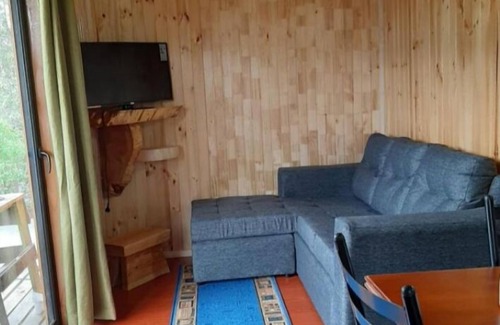Choshuenco Cabin | Budget-Friendly Cabañas Genesis: Family and Spa Retreat