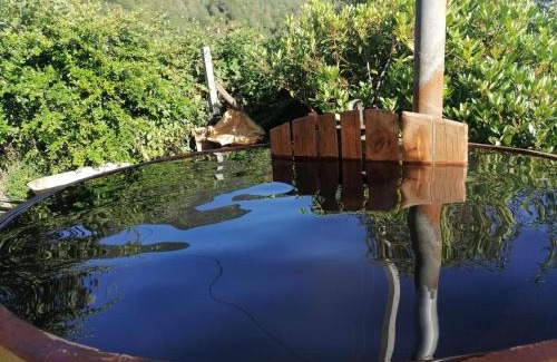 Panguipulli House | Family-Friendly Retreat at Cabañas Jatrima Awaits You