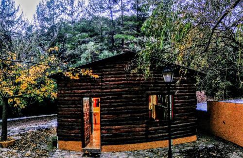 Jimera de Libar House | Discover Cabañas Jimera de Líbar: Family & Pet Friendly Retreat