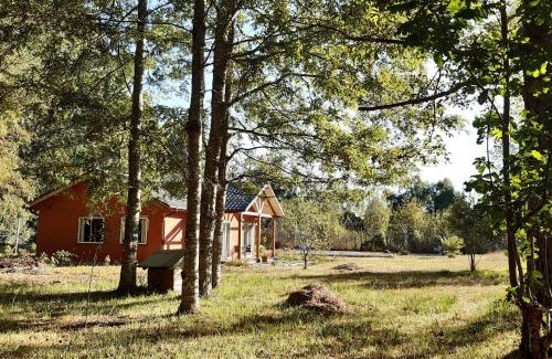Mariquina Apartment | Unforgettable Family Retreat at Cabañas Las Araucarias