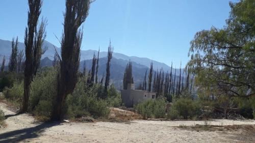 Tilcara Apartment | Pet-Friendly Cabañas La Esther Tilcara with Kitchen Access